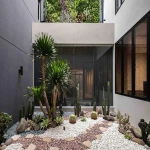 taman kering 300x300